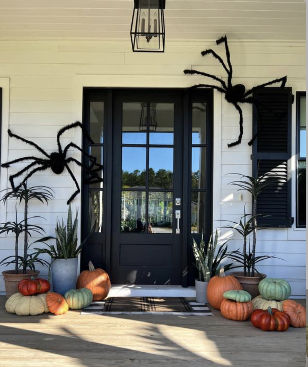 Spooky spiders are perfect fall Halloween decorations for your porcg